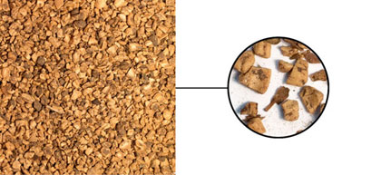 Haselnuss für Biomasse