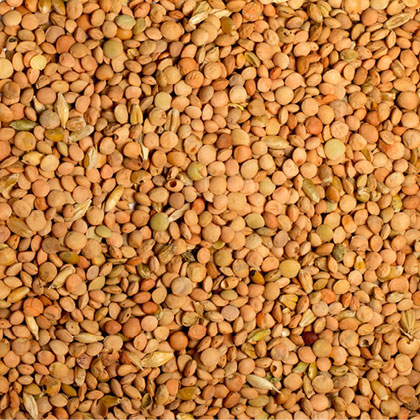 Seeds and legumes