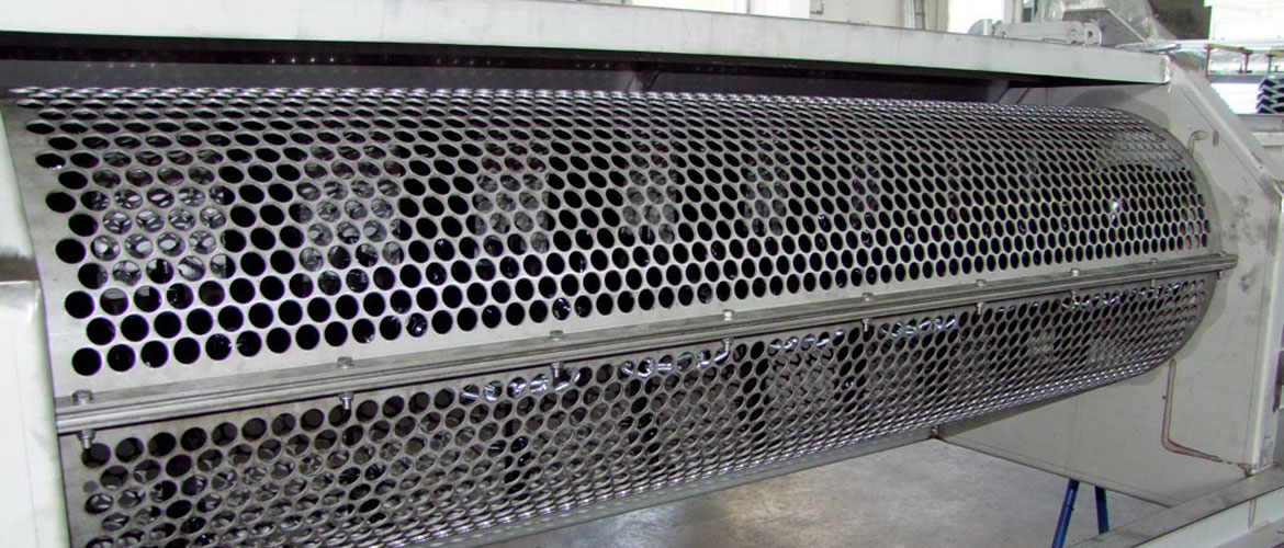 Rotary drum sieve